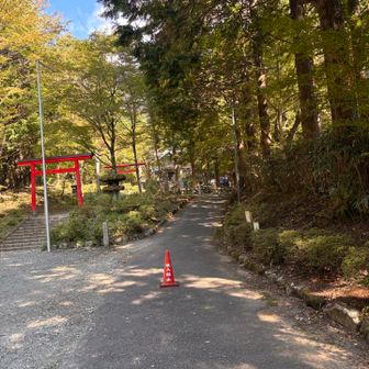 あれ…？既視感…？