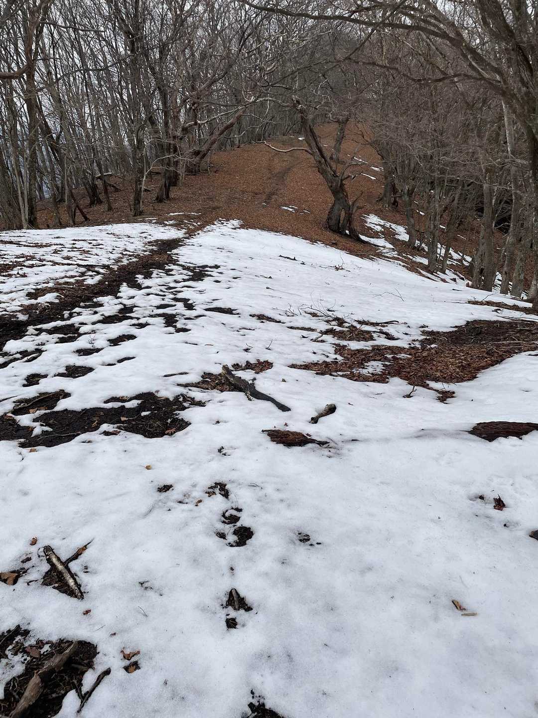 雪☃️
ドロリんちょ