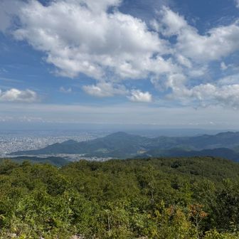 ケルンまで来ました。