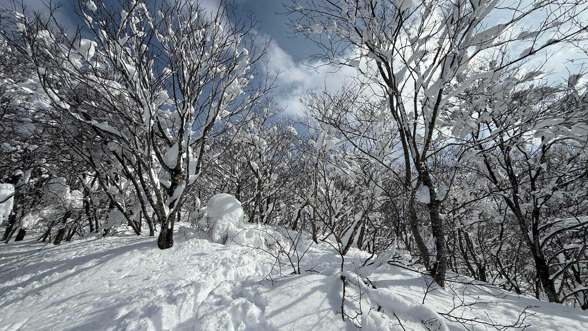 この風景行く為に来たんだよなと思う。
