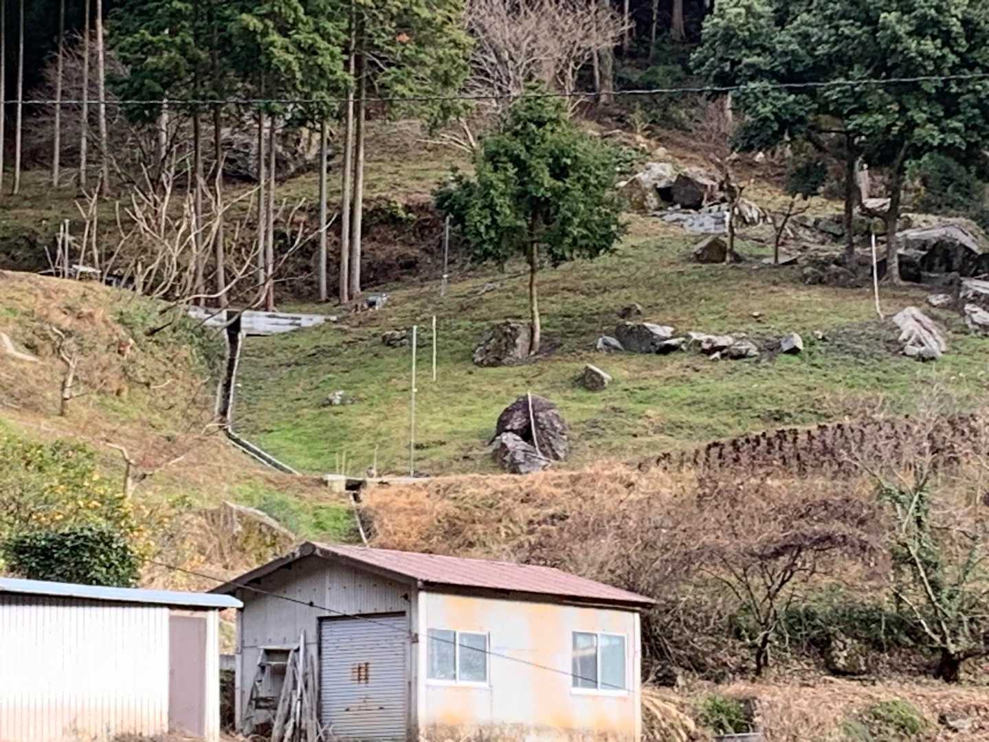 山肌からメェェェ〜♪鳴き声が聞こえてきました😲