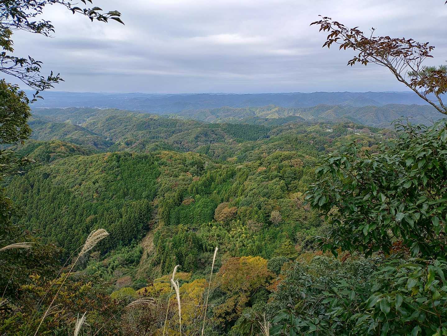 山頂の景色も最高です✨
