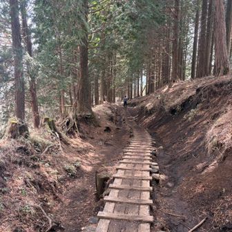 良く見慣れた登山道

落ち着いた☺️
