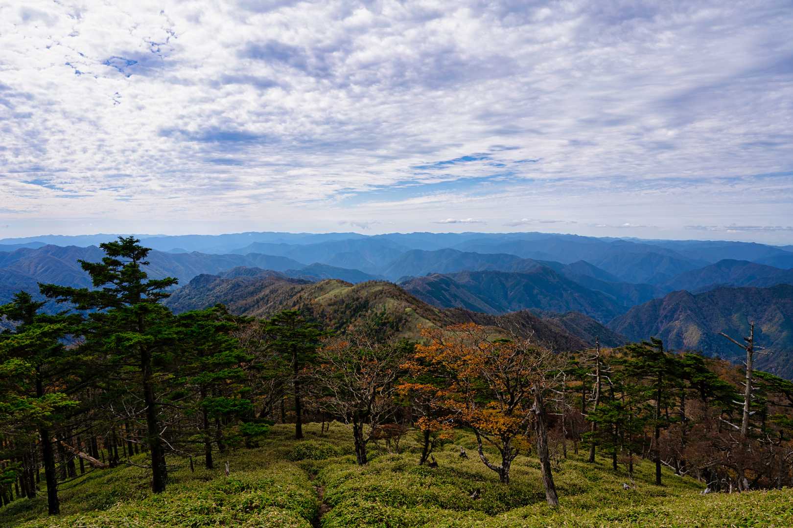 太尾登山口-古田ノ森-千丈平-釈迦ヶ岳-大日岳 往復コースの写真