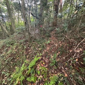 ピンクテープより入って行きます⤴︎