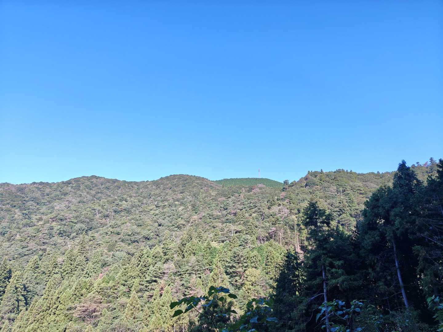 東鳳翩山-ショウゲン山-板堂峠 周回コースの写真