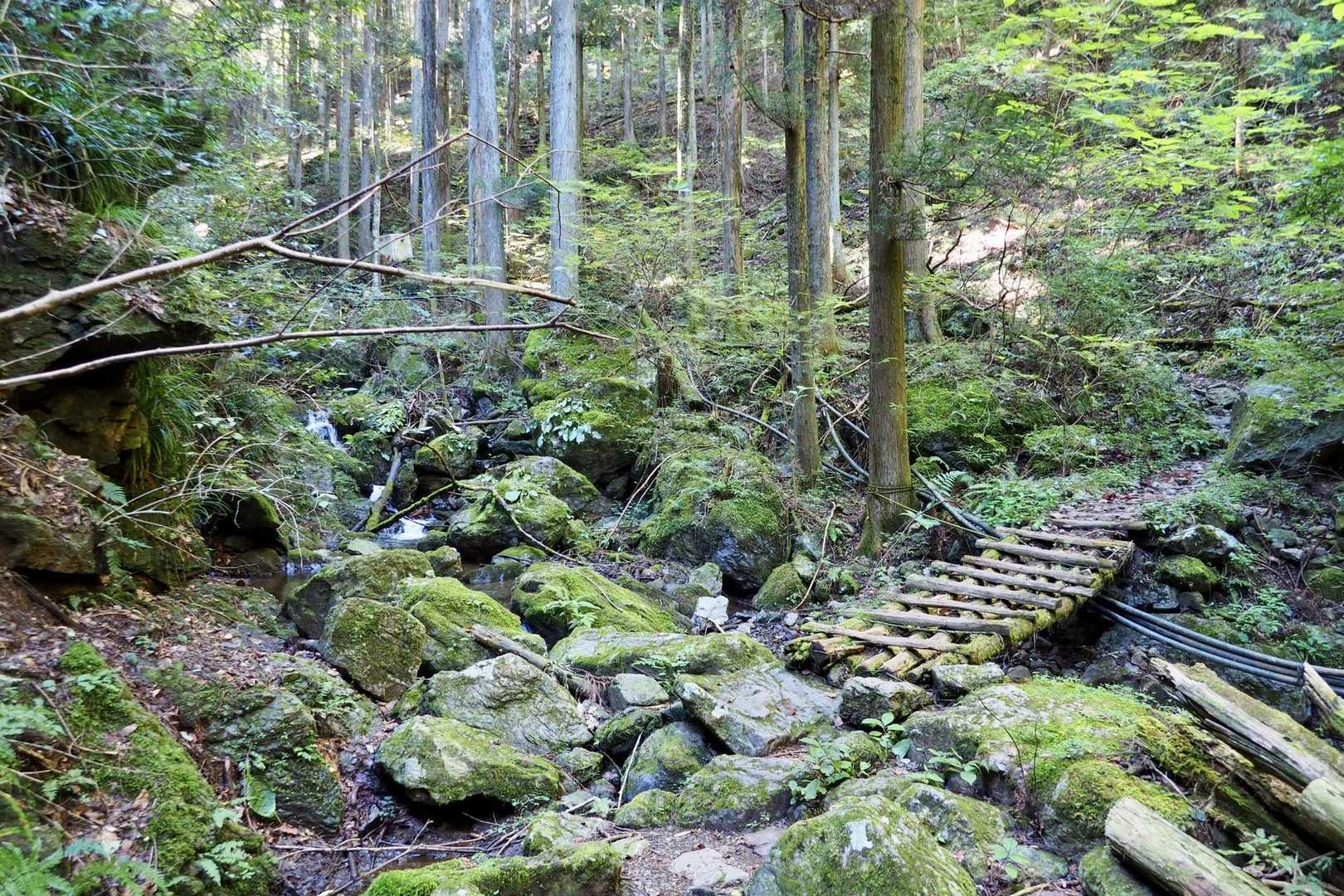 沢筋を登る