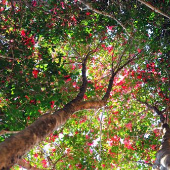 トンネルを見上げると🥰