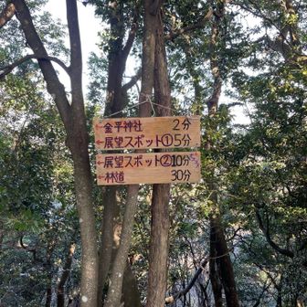 展望スポットまで行ってみよう