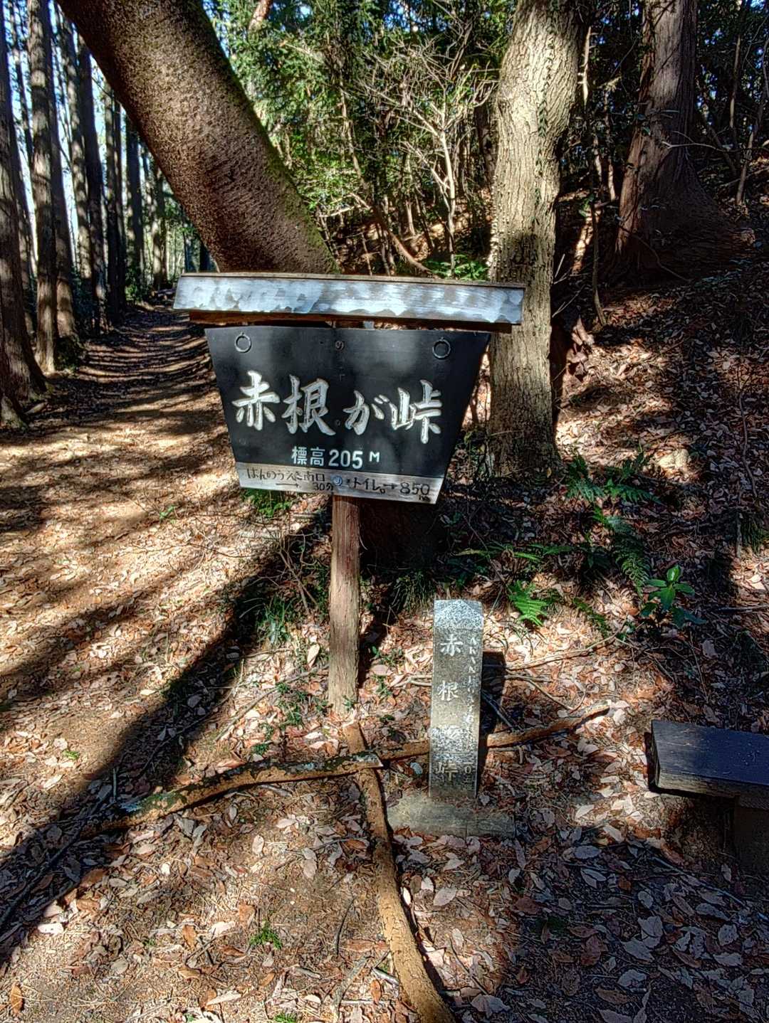 工業団地の裏を通って少し行くと、赤根が峠に到着。分岐があるが、稜線に沿ってフェンスルートを行く😄