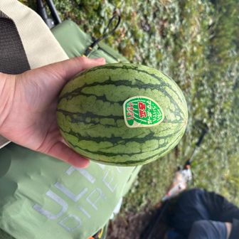 ピークで🍉を食べる為に重いザックを背負って来たのに爆風で厳しく、アンギラスに向かう前に分岐で休憩…
女性陣はトイレに行きたくなるからスイカは下山後だと却下😂
ザックはデポしてアタックザックでアンギラス🦖に向かう事に😆