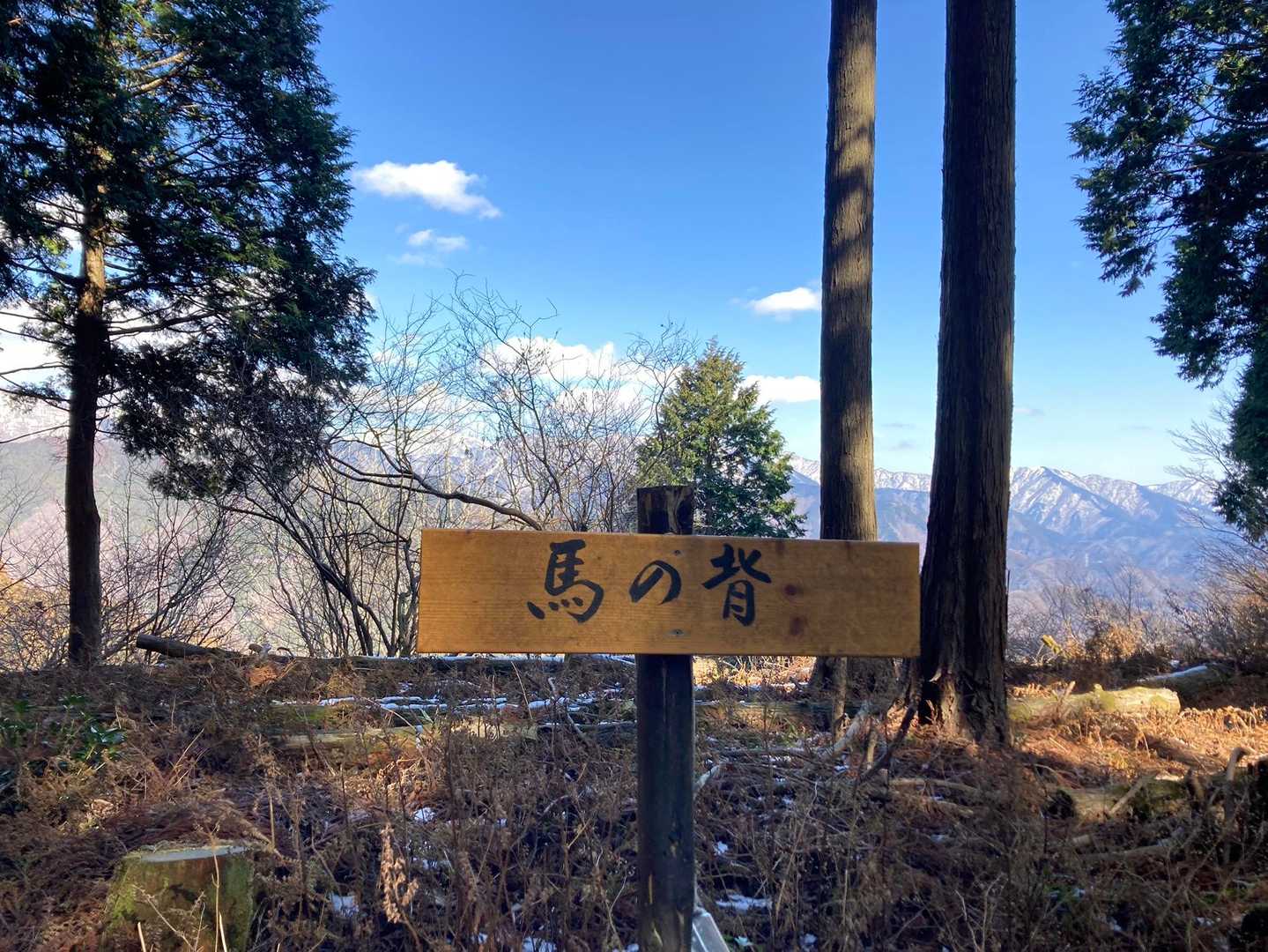 雪の丹沢の山々が美しかった