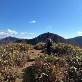奥に丈競山が見える✨山頂にチョコンとある小屋が可愛い🛖🥰