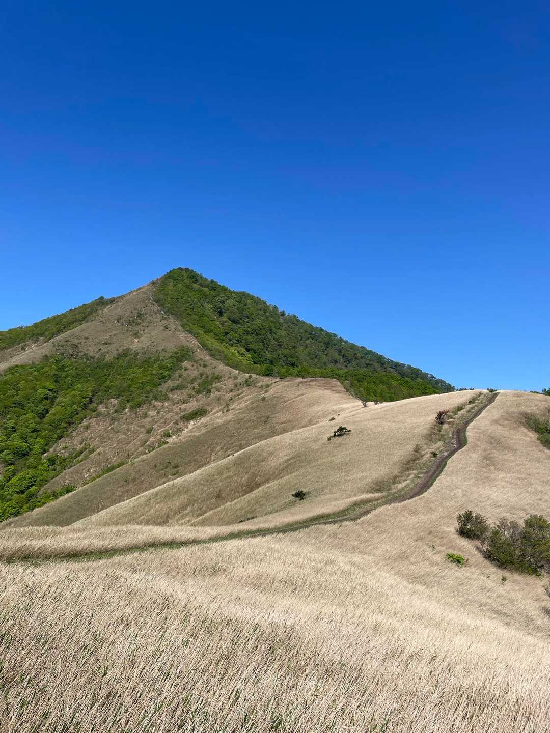 下蒜山山頂へ向かう