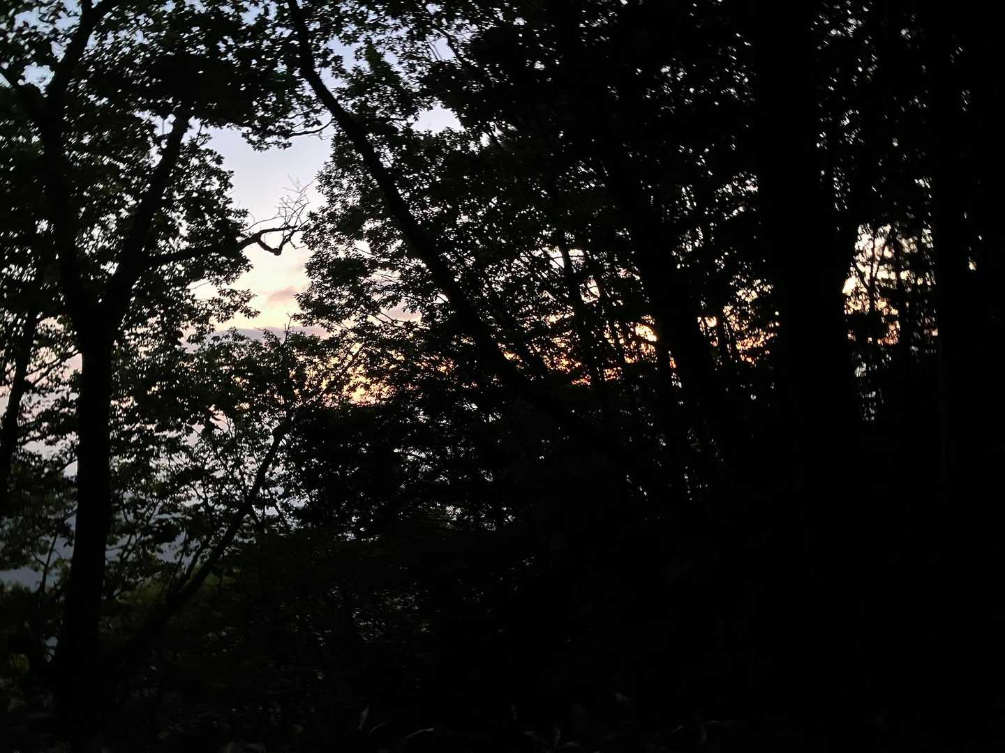 少しオレンジになってきた