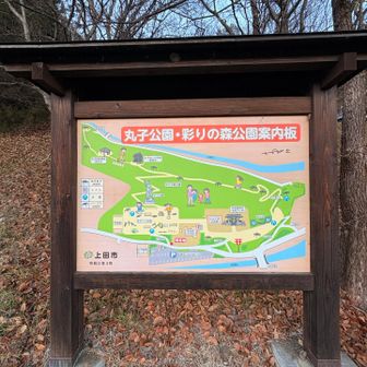 城跡は二の丸まで公園整備されている