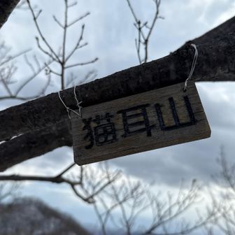 ちっこい山頂標識