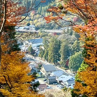 モミジの木の間から駐車場が見えます🅿️