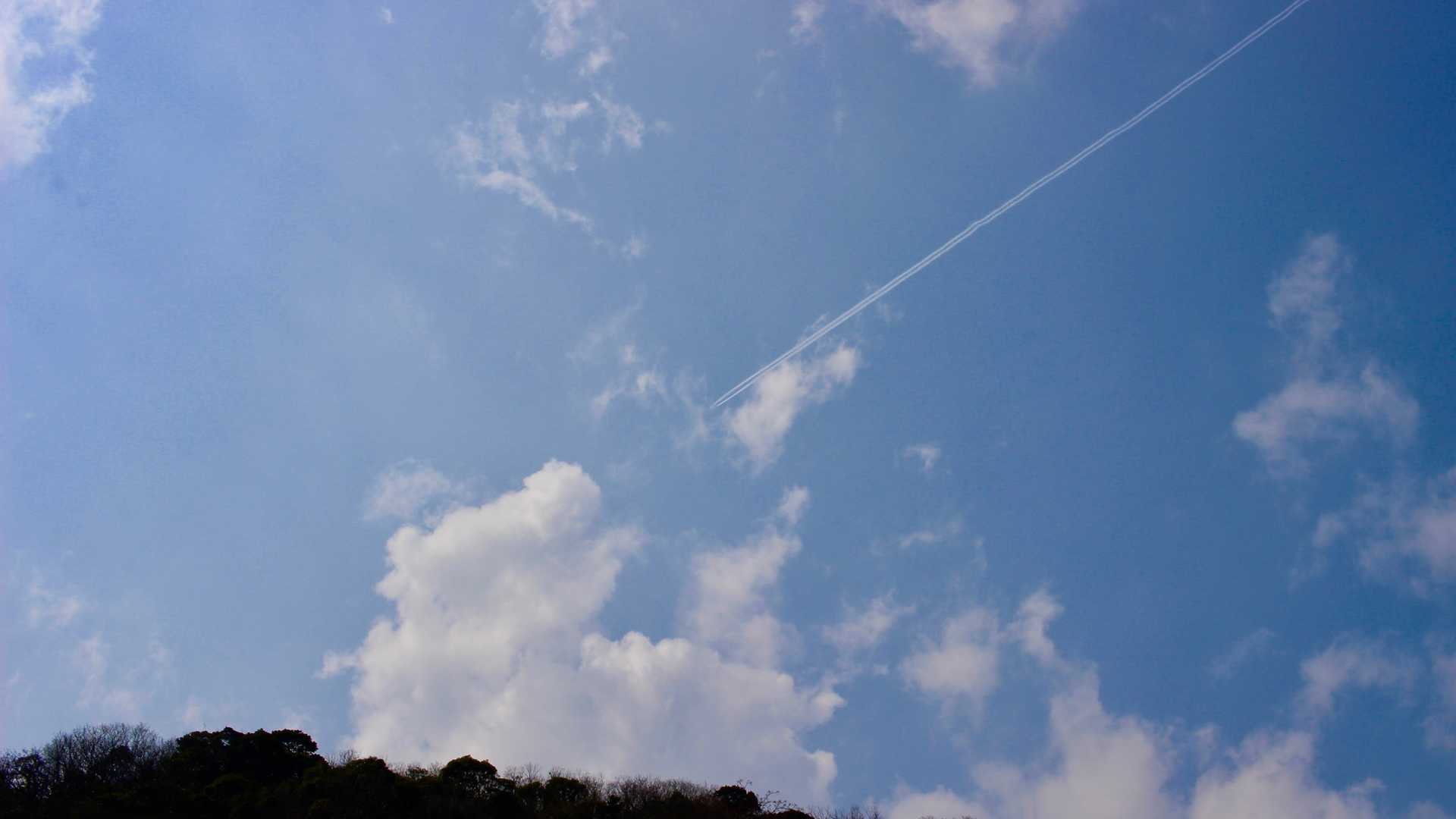 たまには空を見上げて。