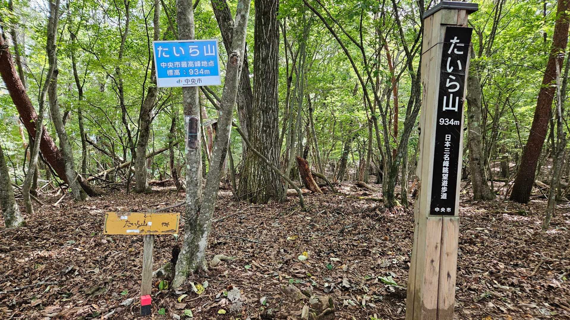 たいら山山頂