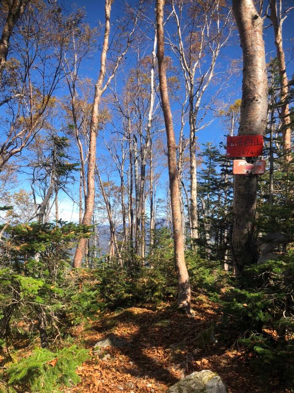 奥茶臼山の写真