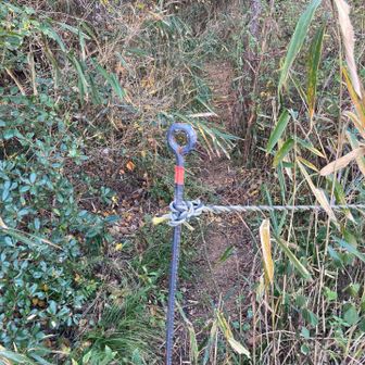 ちょっとわかりにくいですが、こっち（ロープの左側の隙間）に行きます