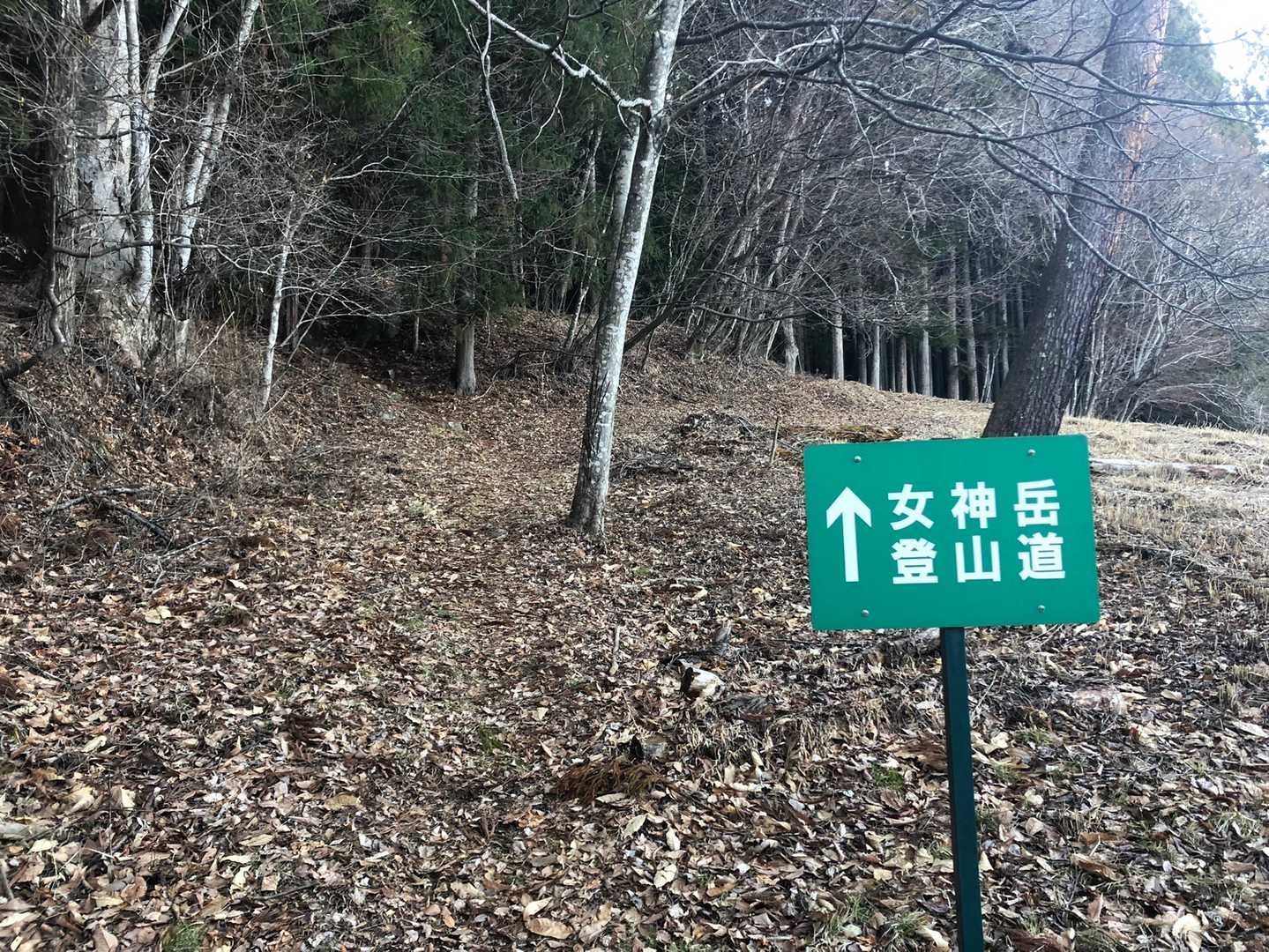 女神岳 往復コースの写真