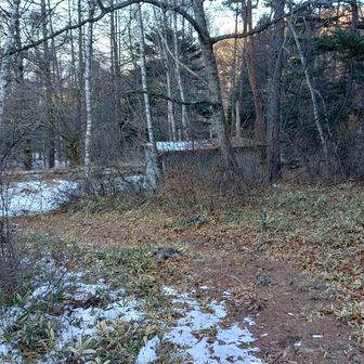 不動清水にはトイレあり
通年使えます