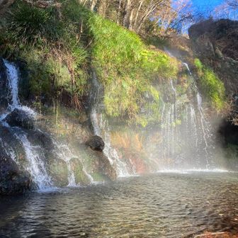どっちから見てもステキ