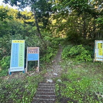 スタートします。