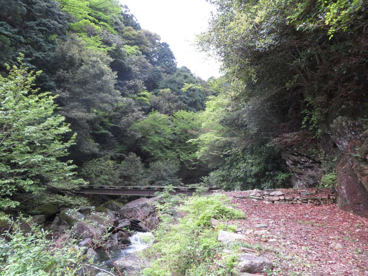 赤星山-豊受山 周回コースの写真