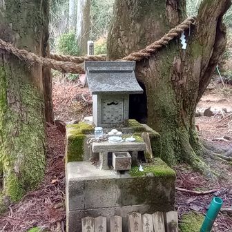 天狗杉の祠。