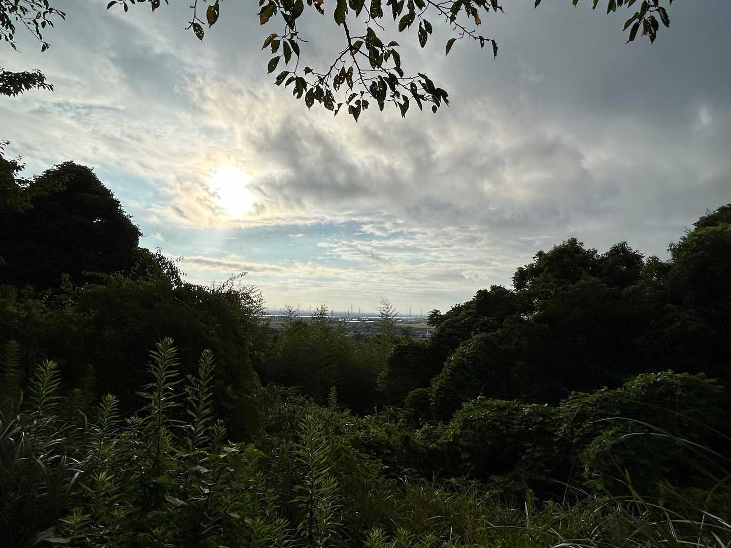 多度山登山口-多度山-多度山道入口 周回コースの写真