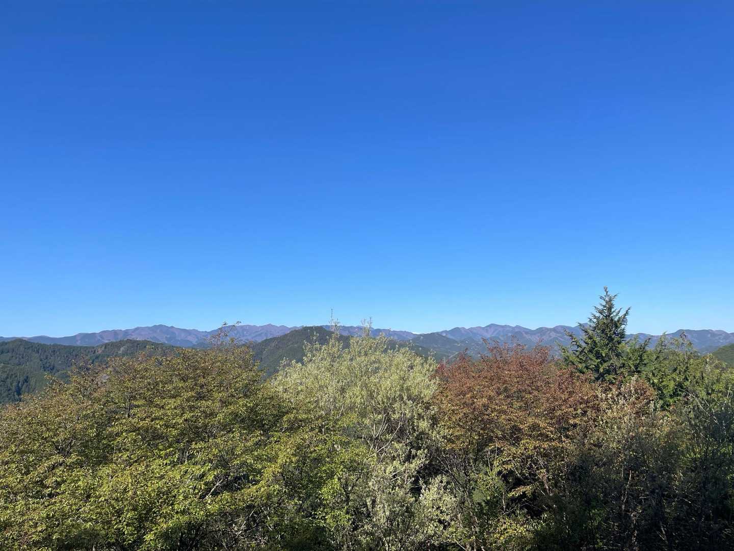 最近巻いてばかりだった橋本山山頂へ
木が切られて景色が見やすくなってる☺️