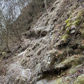 「十二ヶ岳」への最後の登り
ここ 今年一番慎重にいった
とにかく岩が凍っていたり、さっきの雪が付いてたりで滑った😓
2回ほど片足ツルンで焦った💦(3点支持で🆗)
