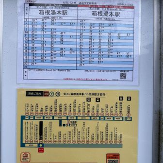 道路を歩いて「仙石バス停」到着
なんと‼️14時12分のバスが、グッドタイミングで到着して、すぐ乗れました☺️ラッキー✌️
今日は、色々とついていたかも🥰
良い登り納めになりました。
お疲れ山でした🏔️