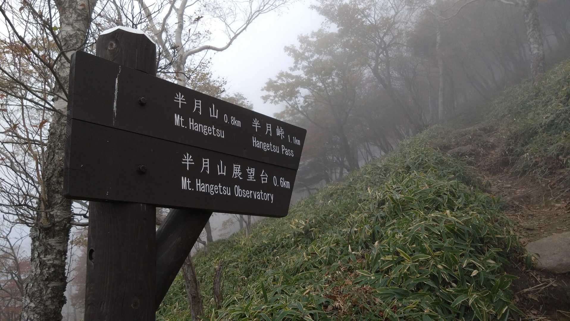 半月山駐車場発着｜半月山 往復コースの写真