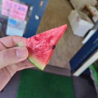 すいかの販売店にて。美味しかったので、小さいすいかを購入。