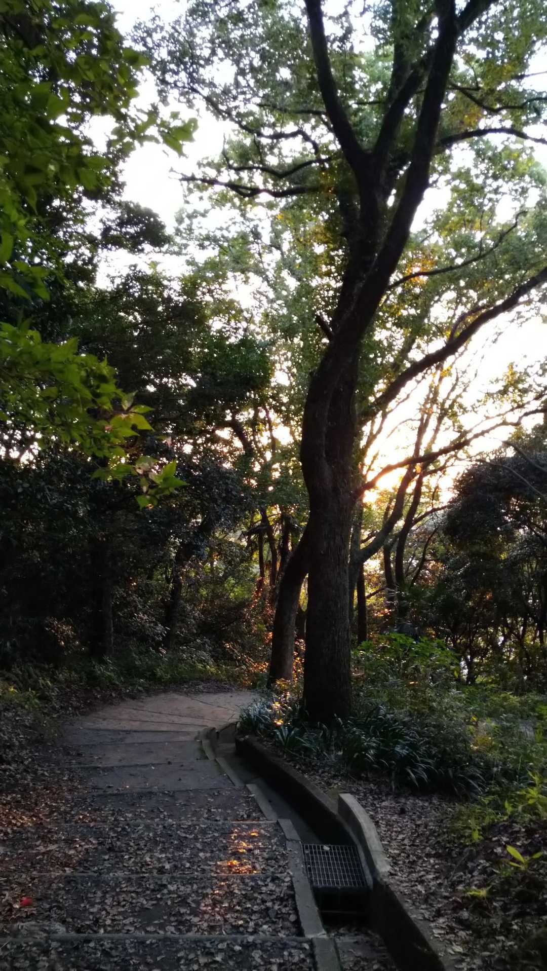 ここまで来ると安心