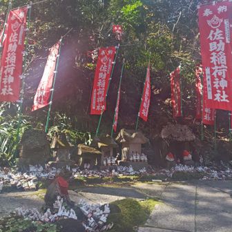 キツネさん〜🦊

たくさんだね〜