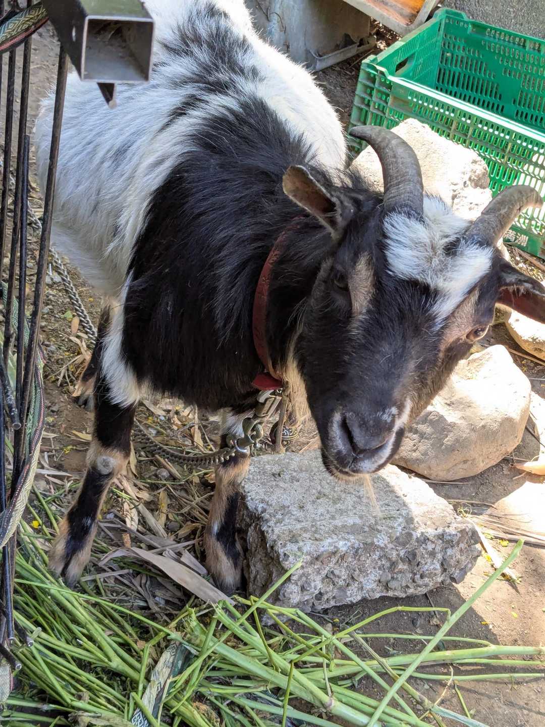 おかえりー