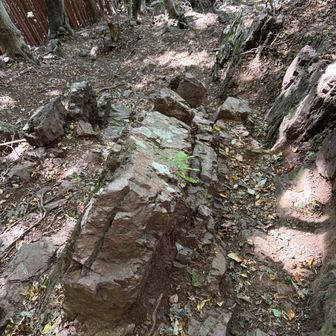 岩が立っているような状態！