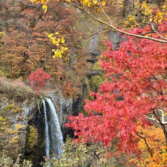 とっても秋って感じの白竜の滝
