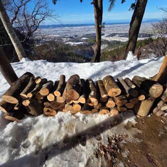 倒木のマンサクの木、2本分。

薪ストーブにまだ🔥が残っていて、ちょっと心配だったけど、ちょうど親子連れの2人が寄ってくれて、安心して下れました！😊