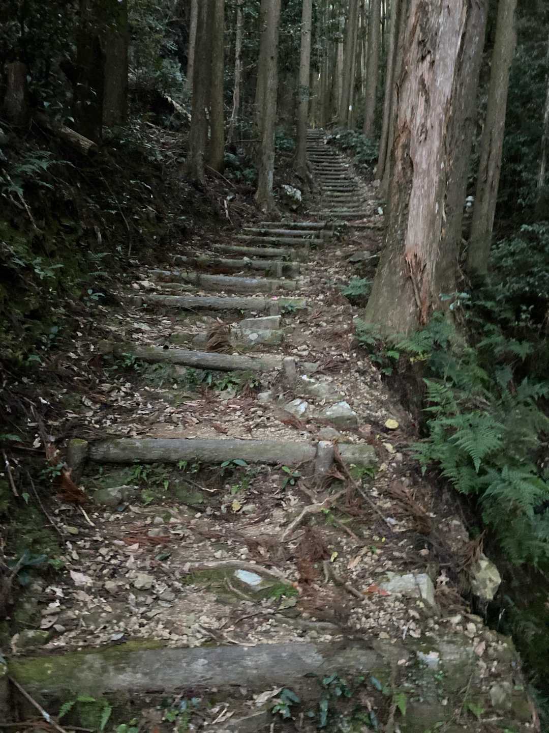 階段。