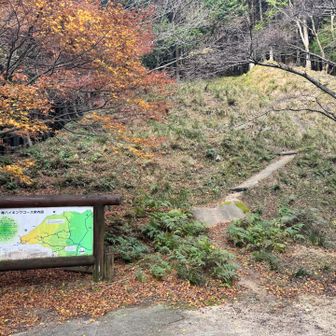 ここを上がって行くよ