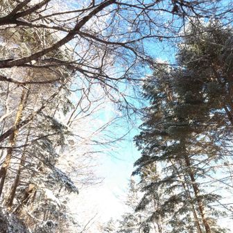 寒いけど清々しいです！