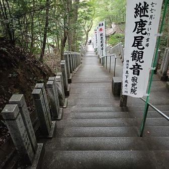 寂光院の長い長い階段をスタスタ降りていきます