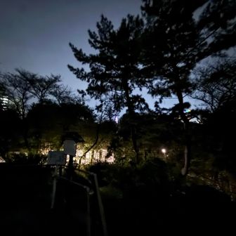 箱根山山頂。真ん中奥にドコモタワー。あれも現在地を知る手掛かりによく使います。