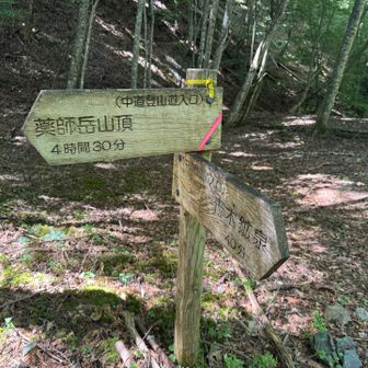 ここから山頂まで4時間半😅青木鉱泉は40分、ここからはゆったりした林道！